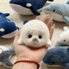 12cm Baby Seal Plush Toy Soft Cuddly White Marine Animal Stuffed Gift Adorable Black Eyes Grey Snout Soothing Comfort Decorative