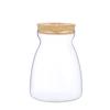Mini Glass Flower Pot for Indoor Plants - Hydroponic Ornament with Moss Landscape