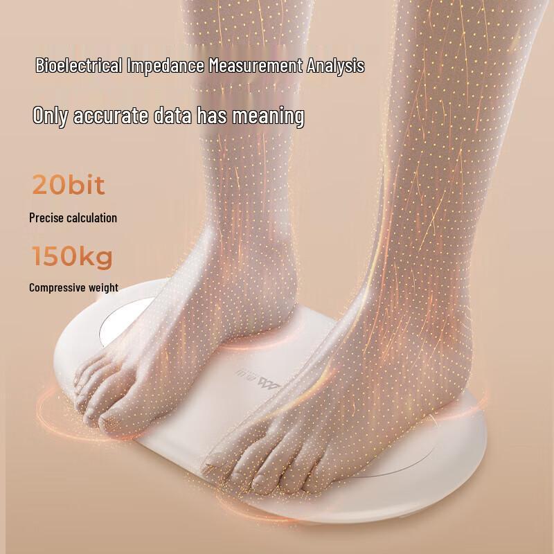 Chanson Mini Smart Body Fat Scale