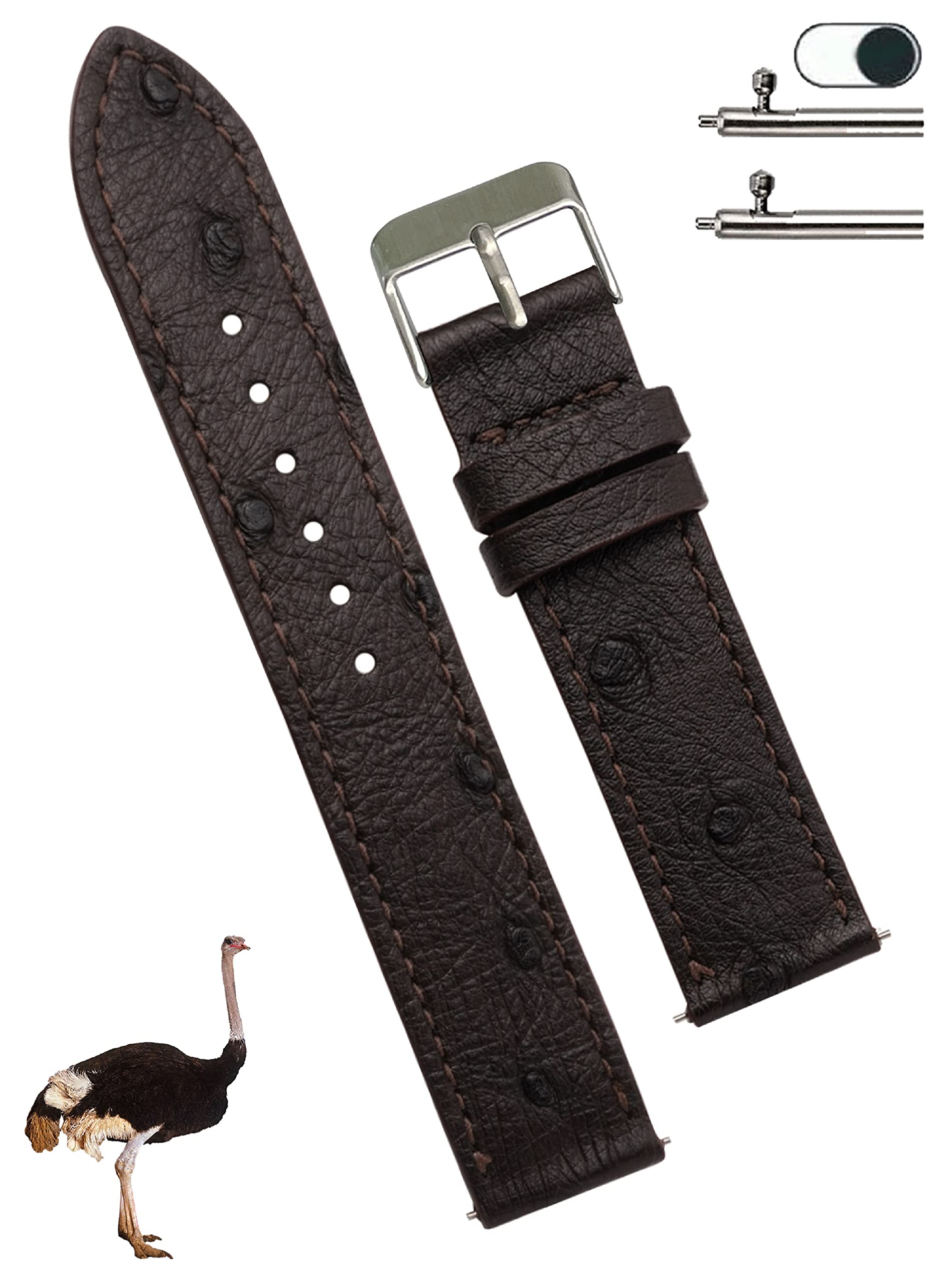 

[vinacreations] 22mm Dark Brown Ostrich Leather Watch Strap, Flat and Thin, with Quick-Release Spring Bars, Genuine Leather Replacement Watch Band
