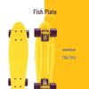 22" Beginner Adult Skateboard with Plastic Deck, Single Kick, and Water Transfer Design for Street Cruising.