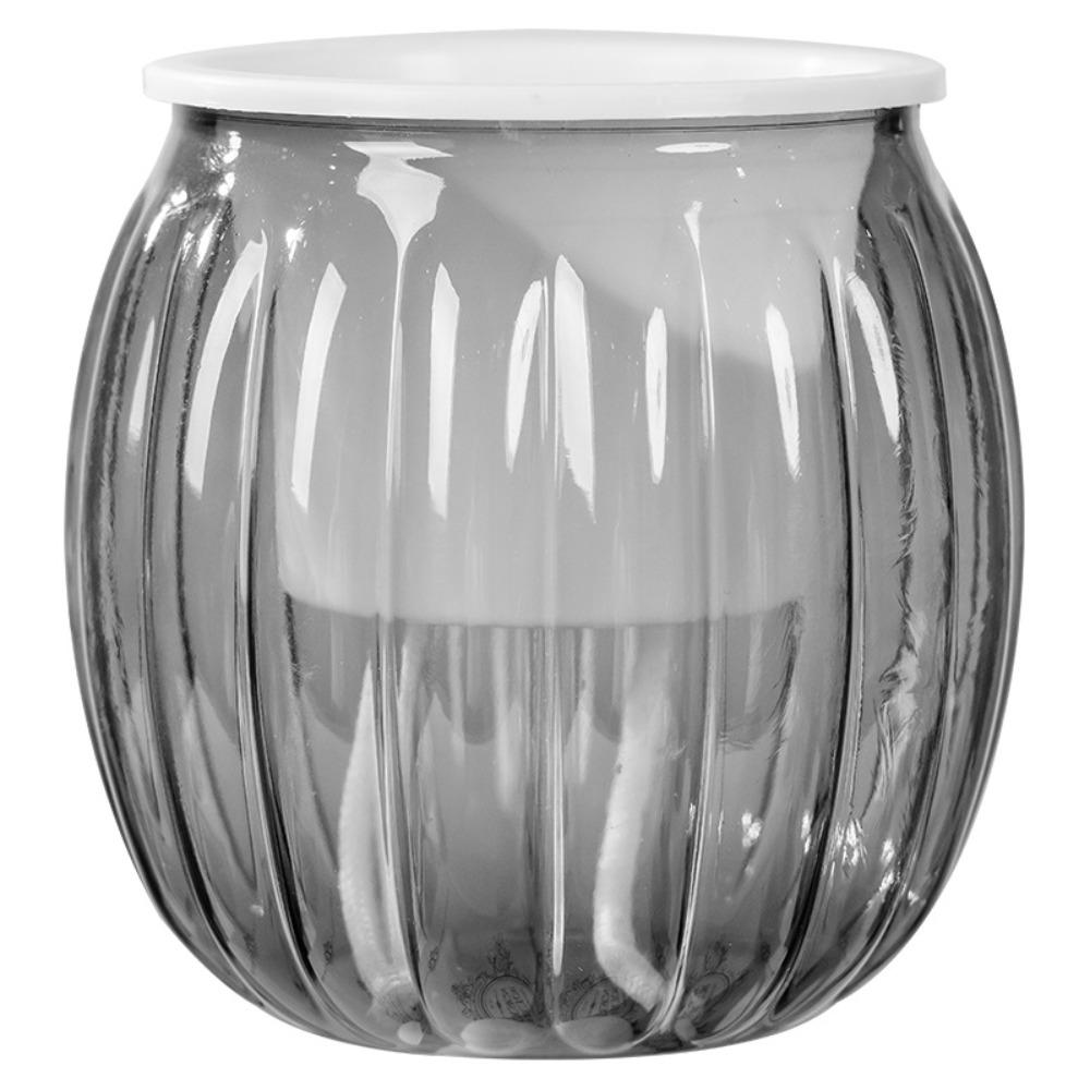Nordic Style Water-Absorbing Flowerpot Transparent Automatic Watering Planter Garden Decor