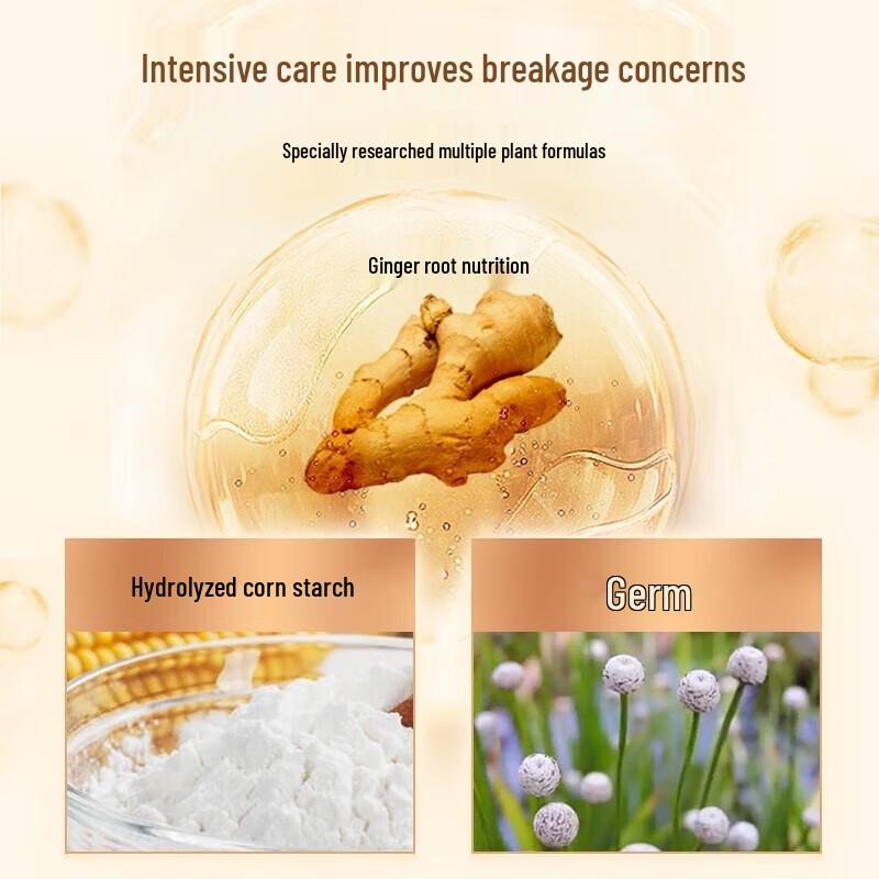 Ziyuan Ingwerwurzel Stärkungsspülung