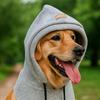 Winter Hat for Dogs Noise Protection Neck Warmer Winter Pet Hat with Adjustable Drawstring for Holiday Cold Weather Outdoor