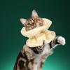 Haustier-Erholungshalsband Haustier-Kegelhalsband Blumenbesticktes Katzen-Erholungshalsband für kleine Katzen Verstellbarer Kegel zum Verhindern von Lecken Beißen
