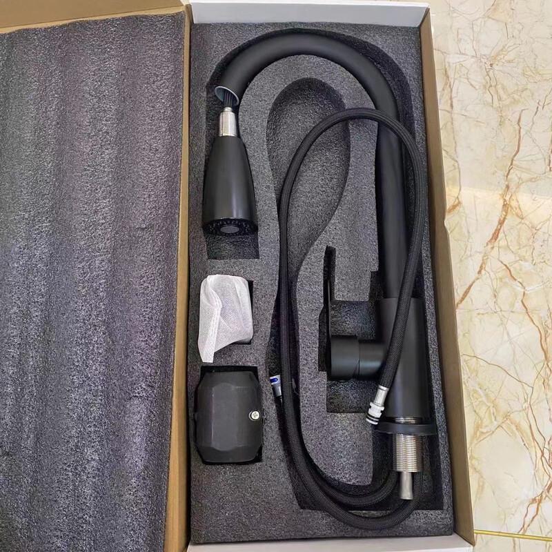TLXT 304 Stainless Steel Pull-Out Kitchen Faucet
