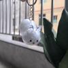 Keyrings Memorial Rabbit Hair Collector Transparent Rabbit Hair Storage Box  Backpack