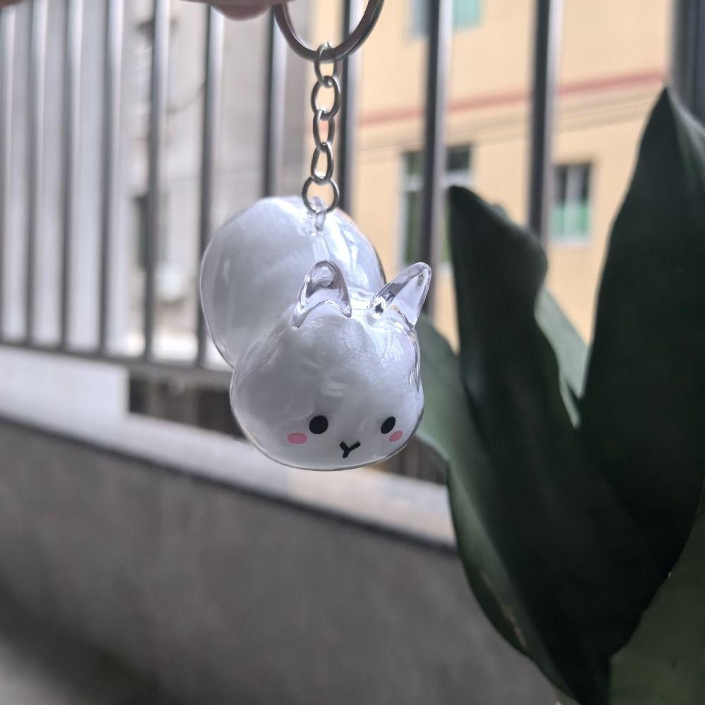 Keyrings Memorial Rabbit Hair Collector Transparent Rabbit Hair Storage Box  Backpack