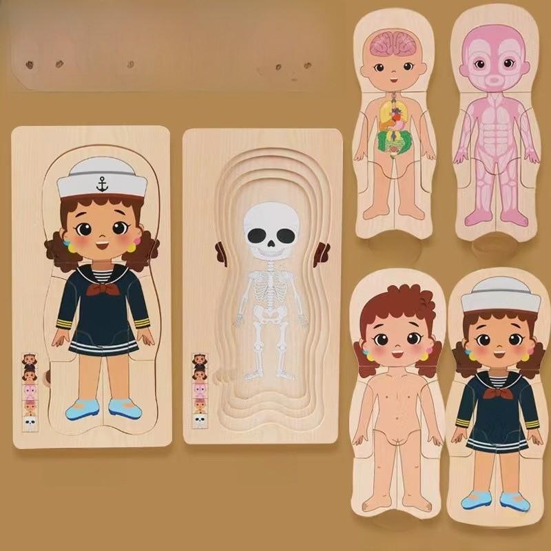 Children 3d Wooden Body Parts Puzzle Toy Anatomy Recognition Brain Development