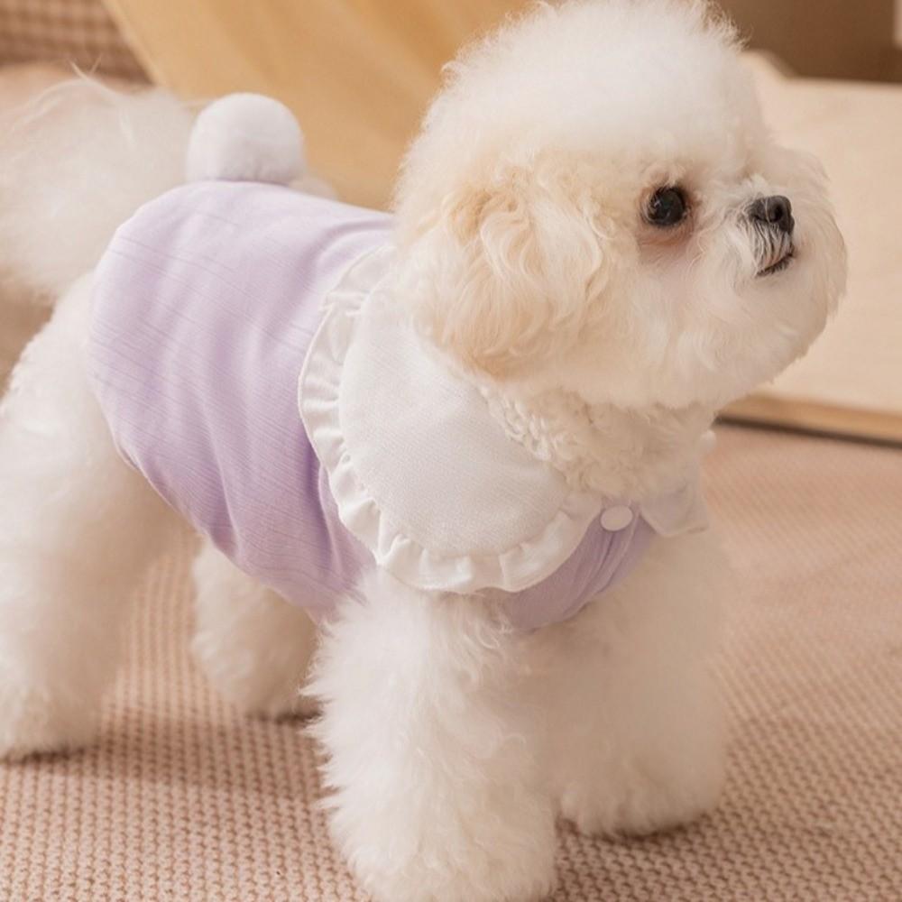 Cartoon Dog Rabbit Collar Vest Rabbit Pattern Two-Leg Dog Clothing  Autumn Winter