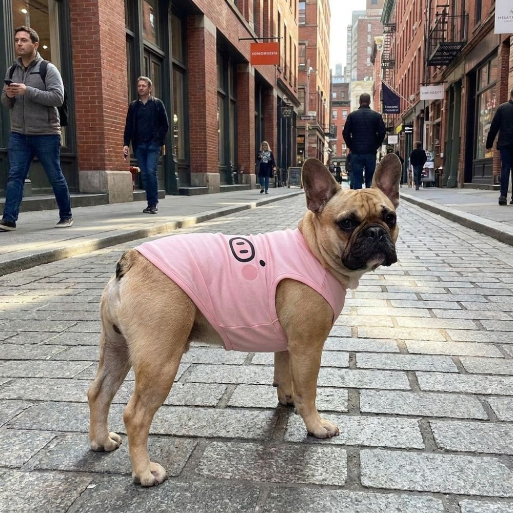 Lightweight Dog Tank Top Cartoon Print Pet Cooling Vest Cute Style Sleeveless T-Shirt  Travel