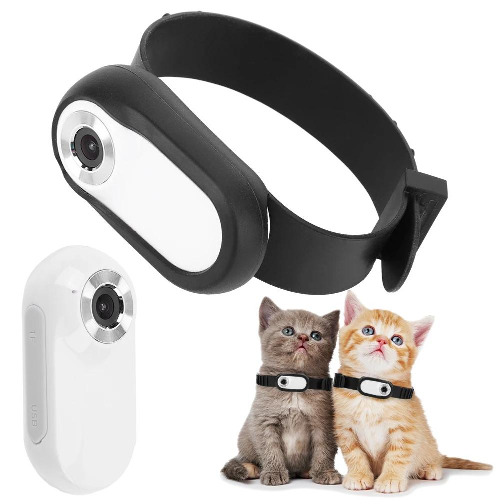 

Беспроводная камера-ошейник для кошек и собак, уличная камера-ошейник для питомцев с экраном, запись видео 1080P, ошейник с трекером для собак, товары для домашних питомцев No SD Card белый