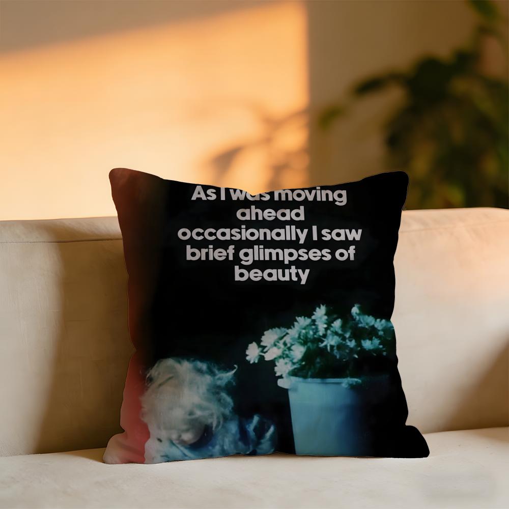 As I Was Moving Ahead Occasionally I Saw Brief Glimpses Of Beauty Cushion Velvet Throw PillowSoft Warm Cushion For Sofa Bed