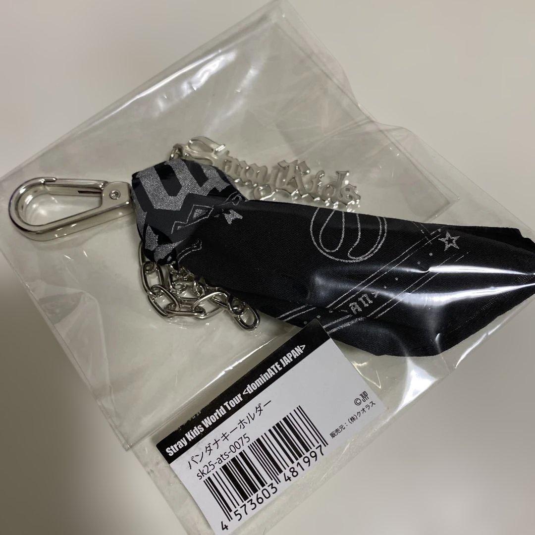 

[USED] Stray Kids Panda Keychain