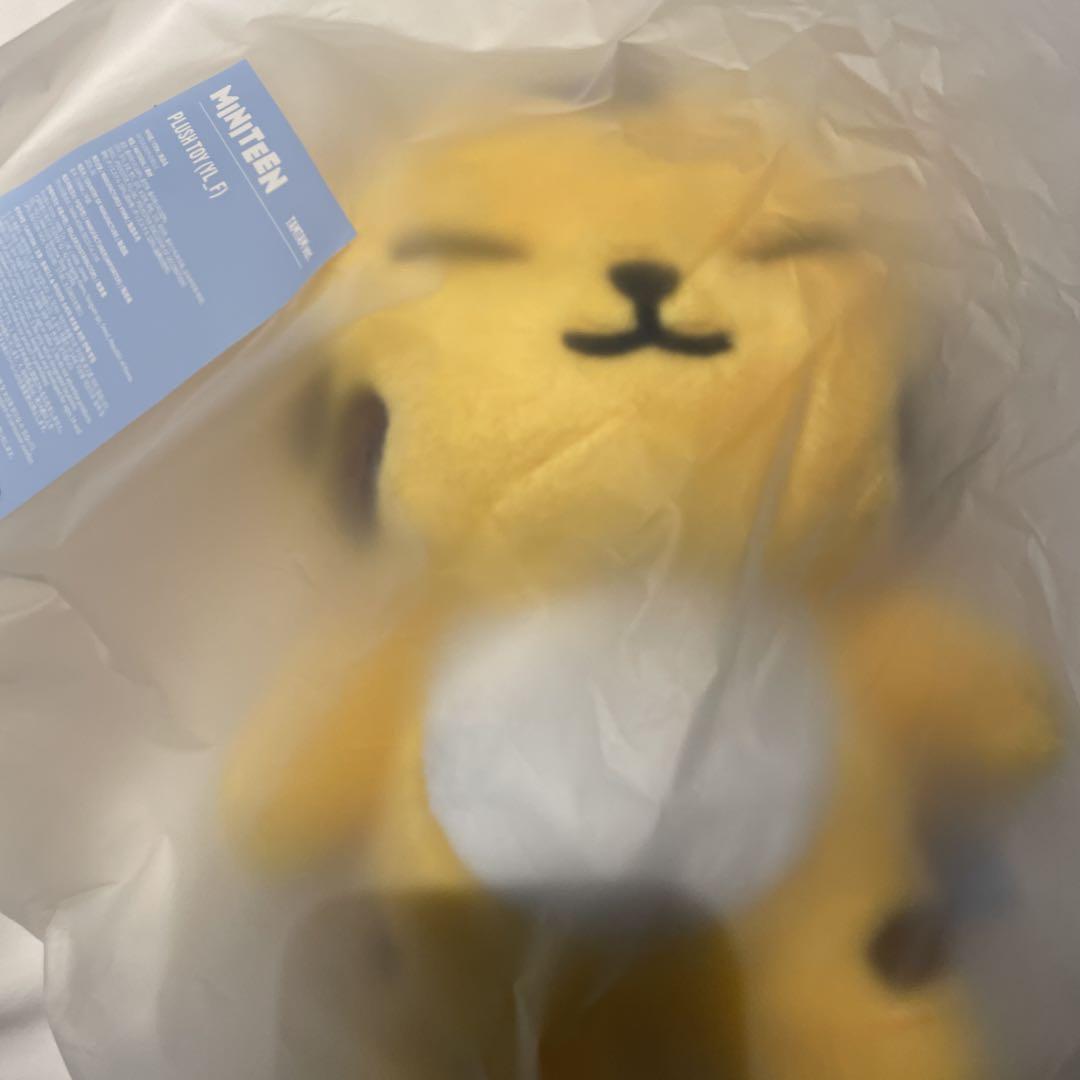 

[Б/У] MINITEEN Всплывающая плюшевая игрушка Seventeen Star