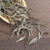 2022 Yunnan Lincang Bangdong Xigui Yunnan Pu'er Tea Ancient Tree Raw Tea Powder Tea 500g Xigui Loose Raw Pu'er Tea