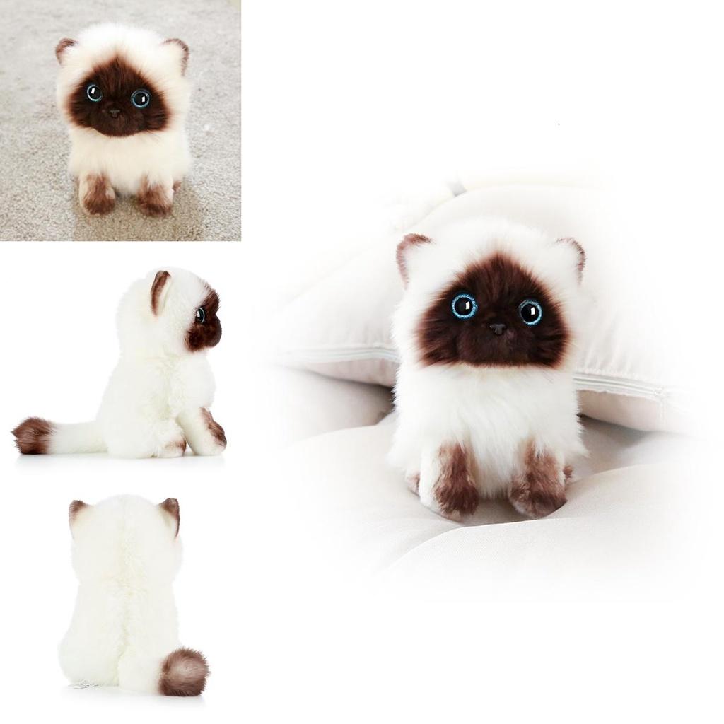 20cm/26cm Siamkatze Plüschtier Niedlich Weich Geschenk Blaue Pailletten Augen Puppen