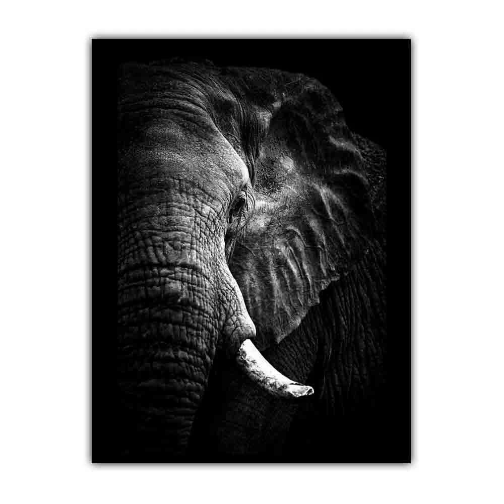 Animal Elephant Black and White Print Art Canvas Poster For Living Room Decoration Home Wall Picture