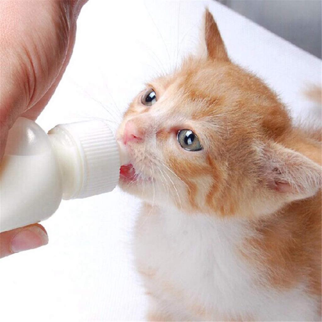 M-Modern-Pet Nursing Bottle Kits Replacement Nipple Cat Feeding Bottle For Newborn Kittens, Puppies, Rabbits, Small Animals