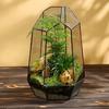 Retro Geometric Glass Dome Greenhouse: Creative Micro Landscape Decorative Vase for Home and Coffee Shop.