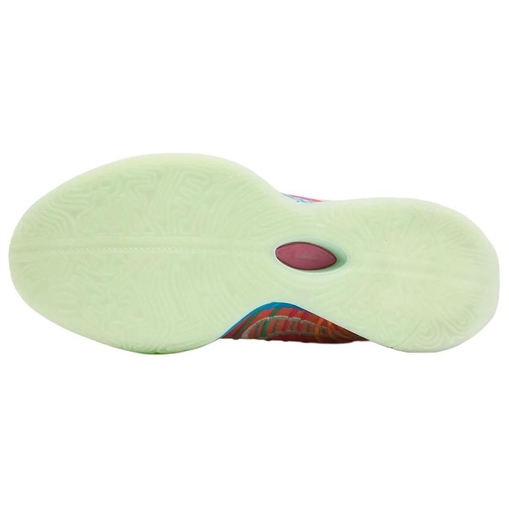 New Nike Lebron 21 'Multi Color' HF5352-400