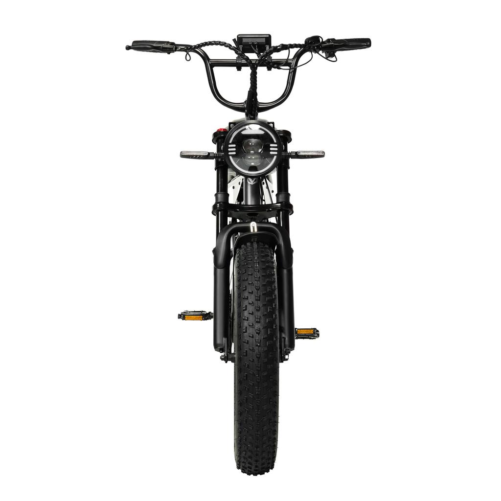 PIXAR SuperV Elektrisches Dirtbike für Erwachsene mit 500W Motor 48V 30AH Batterie