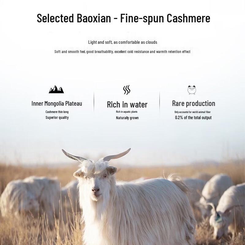 Men's 100% Cashmere Short Sleeve T-Shirt