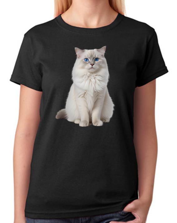 Женская футболка с кошкой рэгдолл 4XL