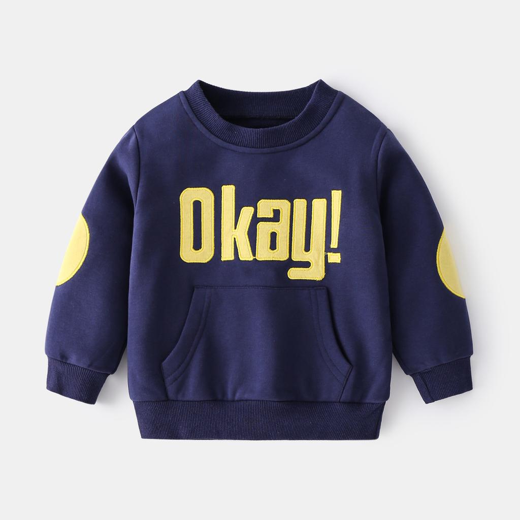 Boys Letter Print Sweatshirt Crewneck Long Sleeve Casual Pullover Fashion Top Clothing for Toddler and Kids
