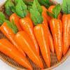Carrot Simulation Model: Artificial Fake Foam Fruit for Home Décor or Easter Display