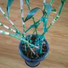 46m Stretch Tie Tape Plant Garden Stake