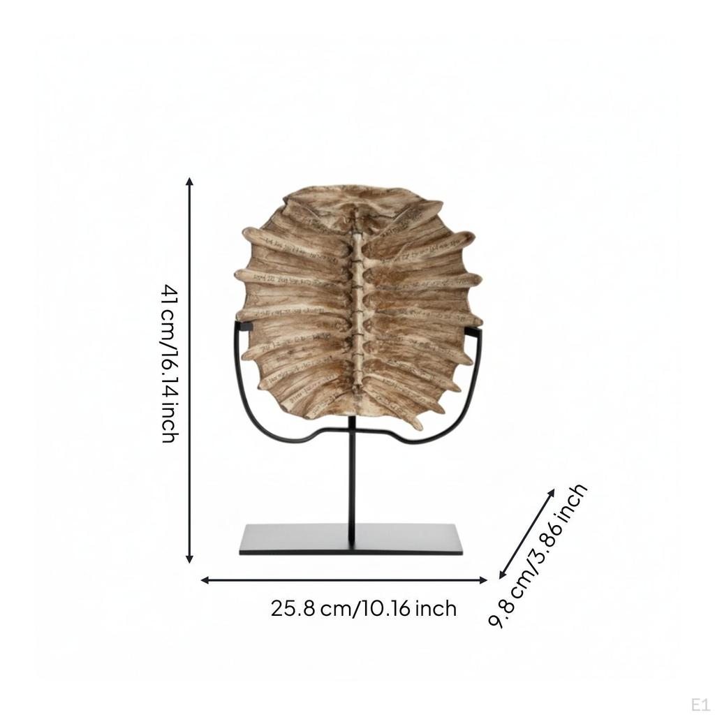 Tabletop Turtle Shell On Stand Antique-Inspired