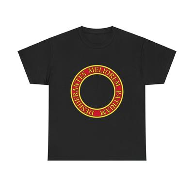 Üst giysisi – T-shirtler