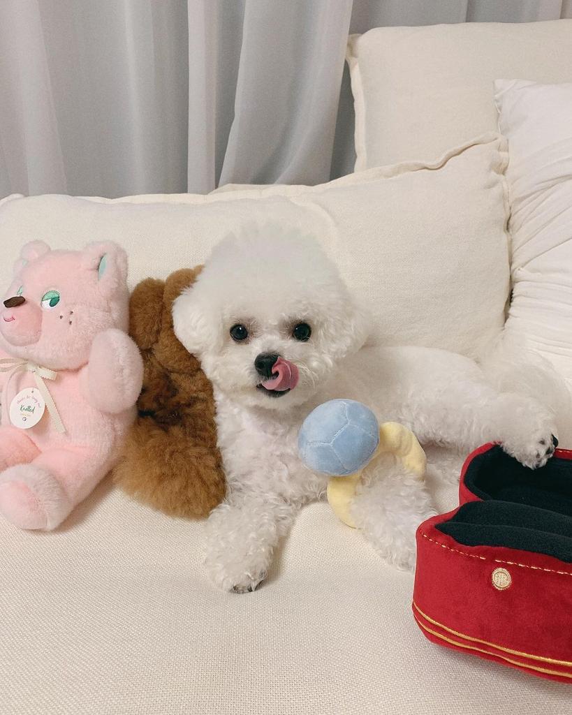 Creative Ring Box Plush Toy Love Diamond Ring Case Soft Chew Toy for Puppies Kids Cute Dog Bitter Interested Toys