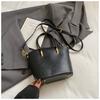 Korean Version of Niche Retro Women's Large-capacity 2025 New Autumn Shoulder Bag Simple and Casual, This Year's Popular Bucket Bag
