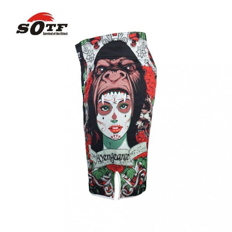 Herren MMA Shorts Muay Thai Boxen Training Fitnessstudio Kampfsport Workout Sportliche Hosen