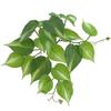 Plant Artificial 3d Printing Ipomoea Batatas Leaf Decor Home Interior Decor