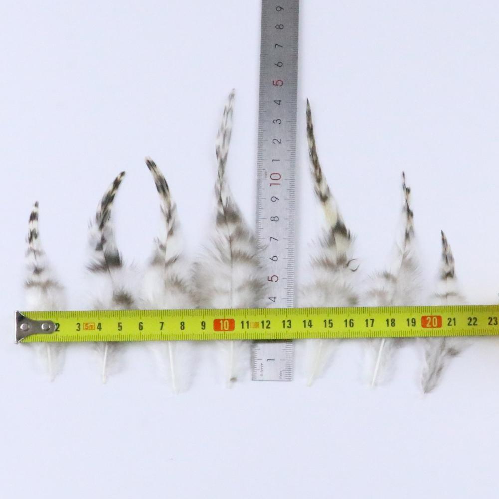 10-15Cm Dyed Chicken Feathers Natural Pheasant Feather For Party Diy Jewelry Handicrafts Plumes Crafts Decoration R