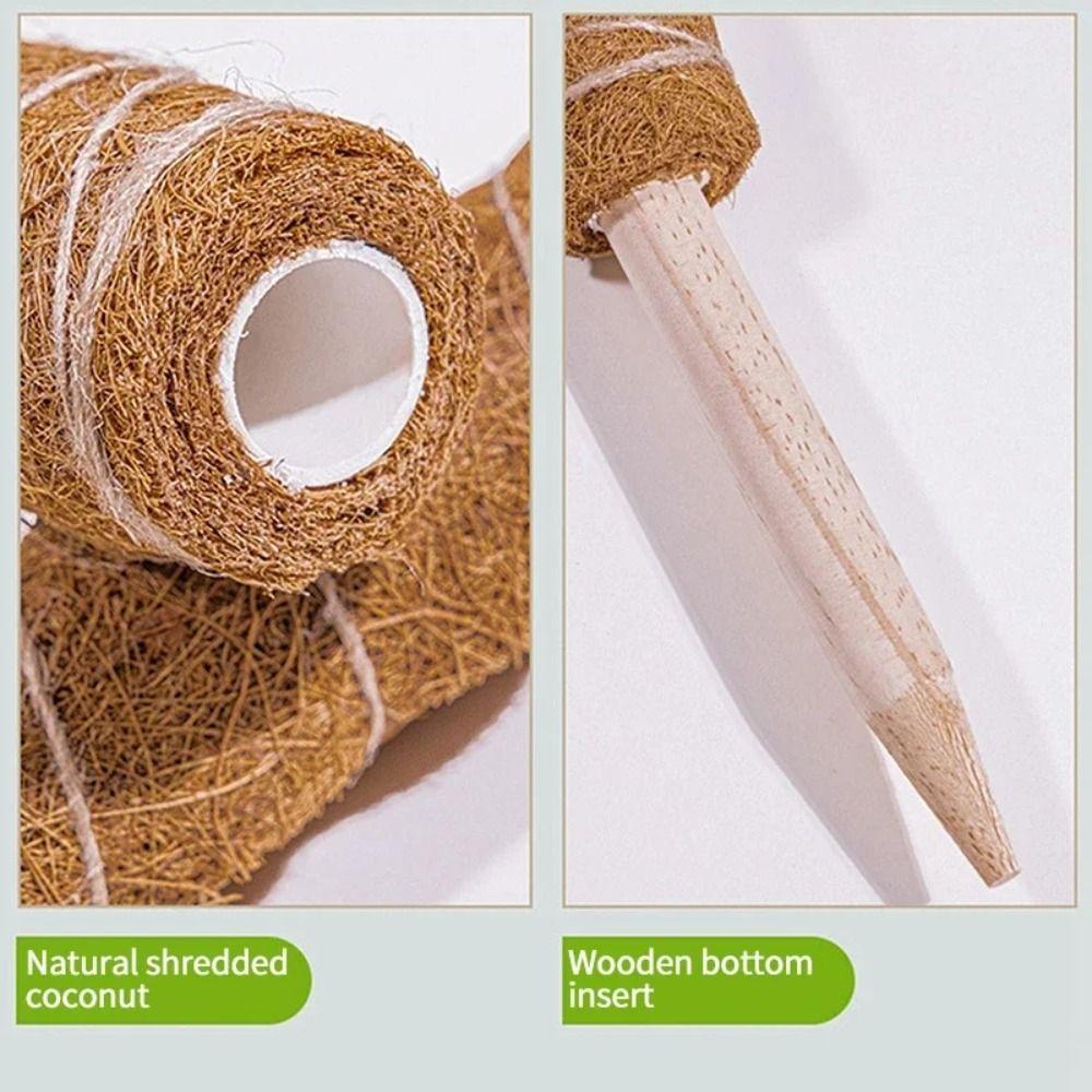 Detachable Moss Pole 32/42/52cm To Grow Upwards Plant Climbing Pole Gardening Tools Plants Climbing Support Outdoor