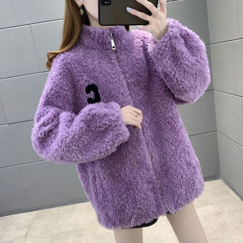 Autumn and Winter Casual Outer Wear Fleece Thickened Double-sided Coral Fleece Thermal Sweater Home Stand-up Collar Plush Jacket Women's Tide