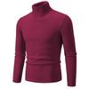 Men's High-Neck Pullover Sweater Autumn Casual Elastic Solid Color Vertical Stripe Knitted Comfortable Basic Sweaters