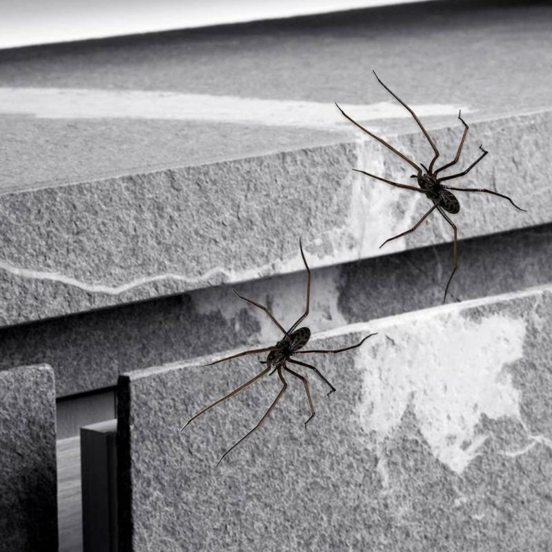 Realistic Magnetic Spiders Decoration Spiders Refrigerator Magnets Magnetic SpidersDecoration For Indoor and Outdoor Use