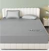 Yongyouwan Simple Solid Color Antibacterial Ice Silk Mat Bed Sheet