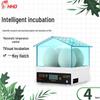 Compact 4-Egg Mini Incubator for Chickens and Birds