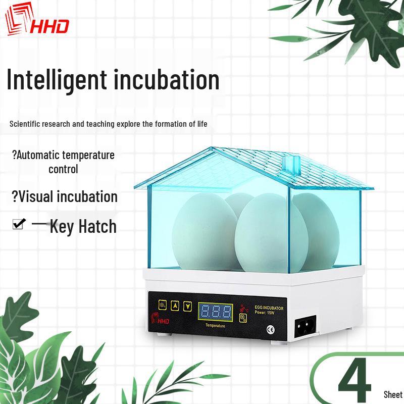 Compact 4-Egg Mini Incubator for Chickens and Birds