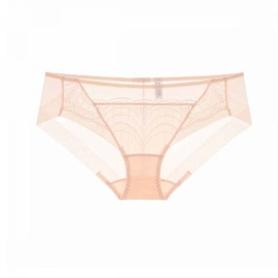 Tulle Lace Standard Fit Hem Panty 2pcs Set  vpt1496hSet 