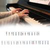 Colorful Piano Keyboard Stickers for Easy Learning - No Sticky Residue