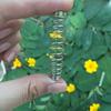 1PC Horticultural Stainless Steel Spring, Suitable For Pruning Flower Branches, Coarse Branches, Garden Fruit Branches, And Pruning Accessories
