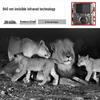 HD Night Vision Wildlife Tracking Camera - Forest Waterproof Sensor for Hunting