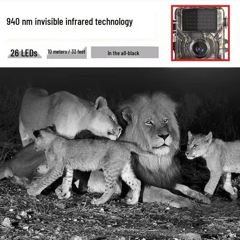 HD Night Vision Wildlife Tracking Camera - Forest Waterproof Sensor for Hunting
